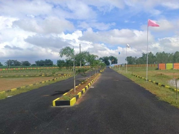 State highway Plot for sale | On Road Site | Low budget land #thanigaiestate #saraththanigaiestate